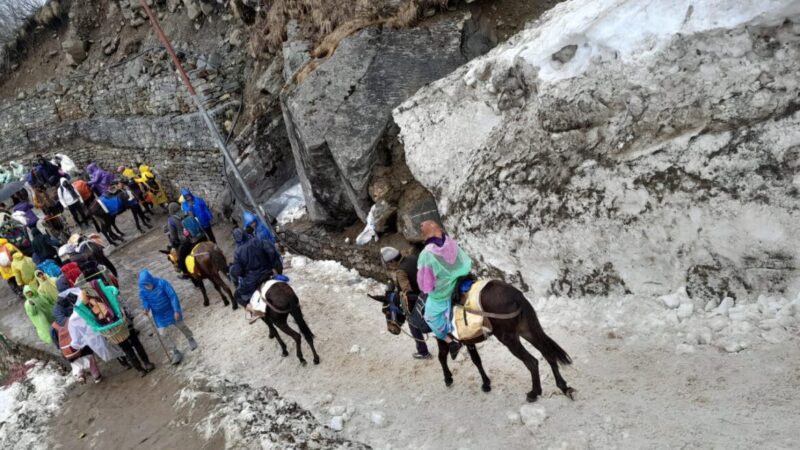 उत्तराखंड ग्लेशियरों के दुर्गम एवं ठंडे मार्ग पर ऐसे चल रही बाबा केदारनाथ यात्रा, श्रद्धालुओं में जोश एवं सरकार के पुख्ता इंतजाम,,,,,