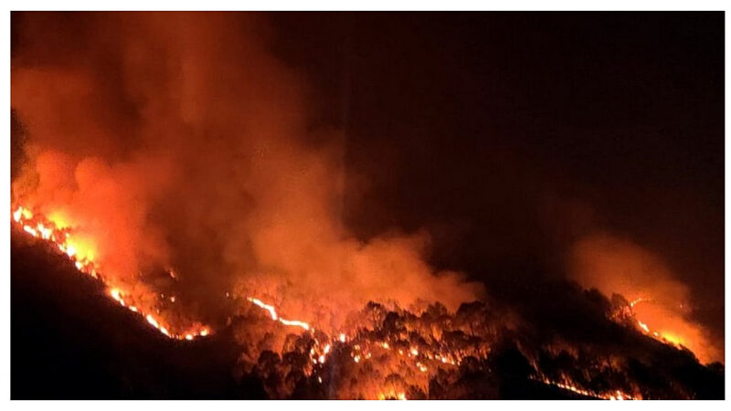 उत्तराखंड प्रदेश में पछले 24 घंटे में हुई वनाग्नि की 64 घटनाएं, आग से झुलसे दो लोग, हजारों हेक्टेयर वन संपदा चलकर हुई राख,,,,,,