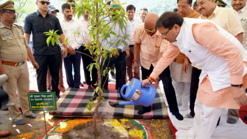 उत्तराखंड हरेला पर्व पर प्रदेश की राजधानी देहरादून में लगे लाखो पेड, किस विभाग किया ने कितना सहयोग आईए जानते हैं,,,,,