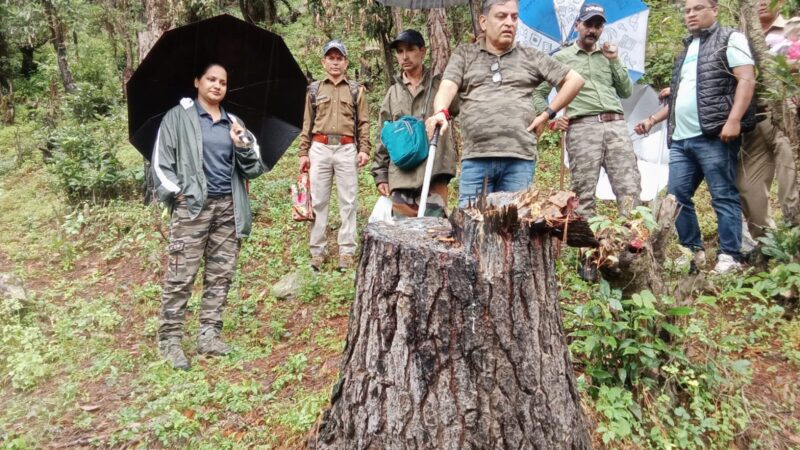 “उत्तरकाशी बड़ी खबर” फिर चर्चा में टौंस वन प्रभाग, हरे पेड़ों पर चली आरियां, वन दरोगा और रक्षक अटैच, तीन गिरफ्तार,,,,