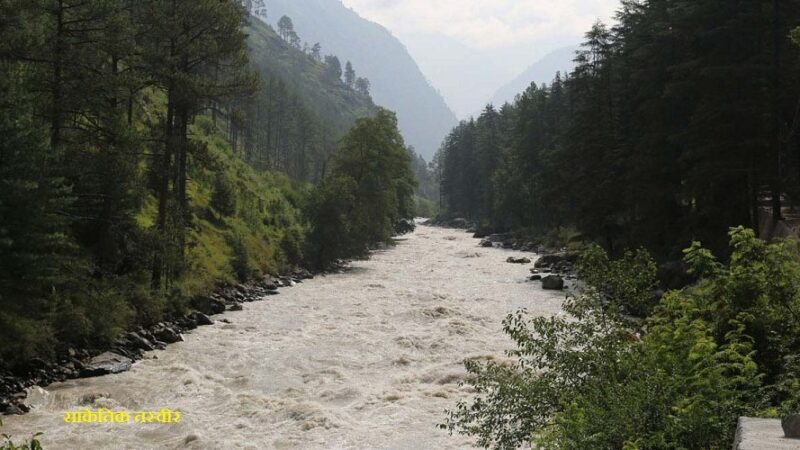 उत्तराखंड में भारी बारिश से फसलों को हो रहा है नुकसान, प्रदेश के कई हिस्सों में नदियां उफान पर, जीवन अस्त्र-व्यस्त,,,,