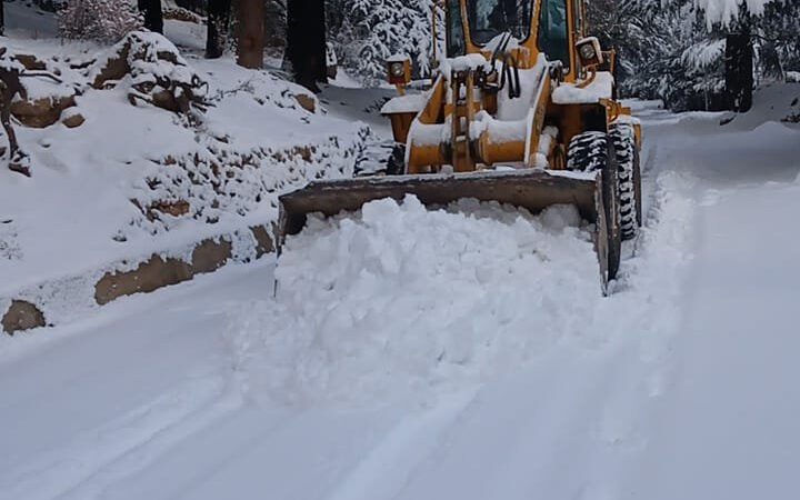 उत्तराखंड उत्तरकाशी और चमोली में भी जमकर हो रही है  बर्फबारी, देखिए औली, हर्षिल में बर्फबारी के बाद के खुबसूरत नज़ारे,,,,,