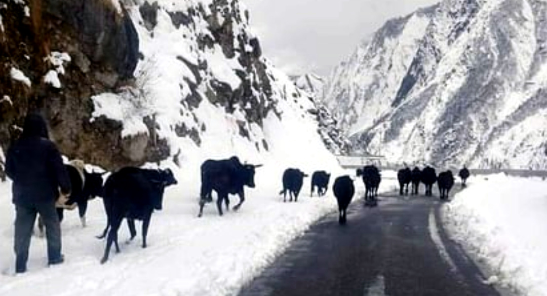 उत्तराखंड में हनुमान चट्टी से बदरीनाथ तक 10 किमी क्षेत्र में गिरे नौ हिमखंड, मौसम खराब, यात्रा तैयारियों में आई रुकावट,,,,,