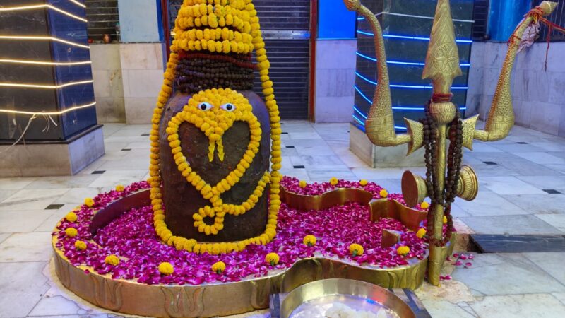 क्या कहते हैं आपकी किस्मत के सितारे दिन शनिवार दिनांक 10/05/2025