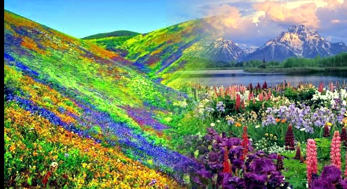 उत्तराखंड की विश्व प्रसिद्ध फूलों की घाटी के लिए भी होगै अब ऑनलाइन पंजीकरण, पर्यटकों के लिए एक जून को खुलेगी रंगबिरंगी मनभावन फूलों की घाटी,,,,,