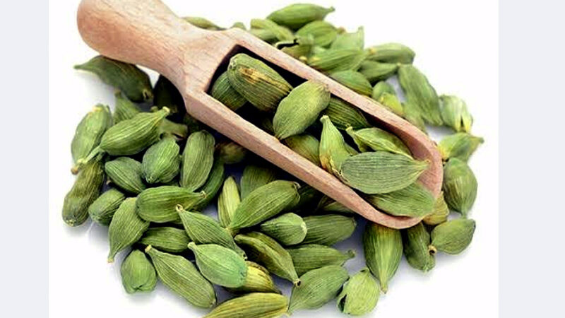 “खान-पान” छोटी इलायची खाएं और अपने पाचन तंत्र, आंत्र, श्वसन एवं रक्तचाप को करे कंट्रोल- वेद्य (डा.) दीपक कुमार (आदर्श आयुर्वैदिक फार्मेसी कनखल, हरिद्वार)