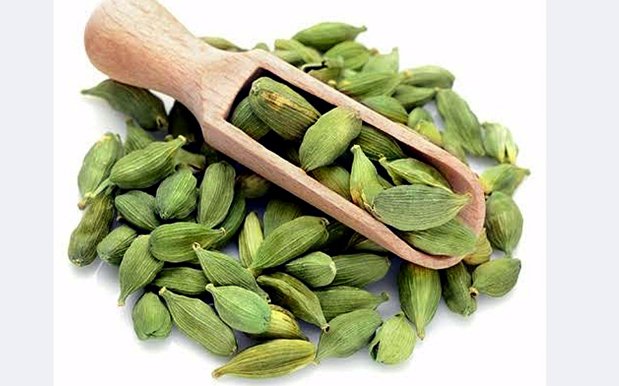 “खान-पान” छोटी इलायची खाएं और अपने पाचन तंत्र, आंत्र, श्वसन एवं रक्तचाप को करे कंट्रोल- वेद्य (डा.) दीपक कुमार (आदर्श आयुर्वैदिक फार्मेसी कनखल, हरिद्वार)