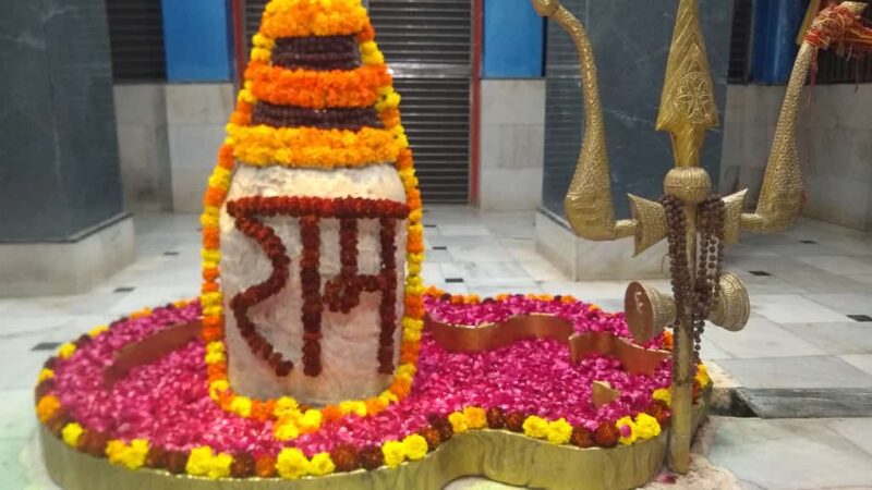 क्या कहते हैं आपकी किस्मत के सितारे दिन मंगलवार दिनांक 24/06/2025