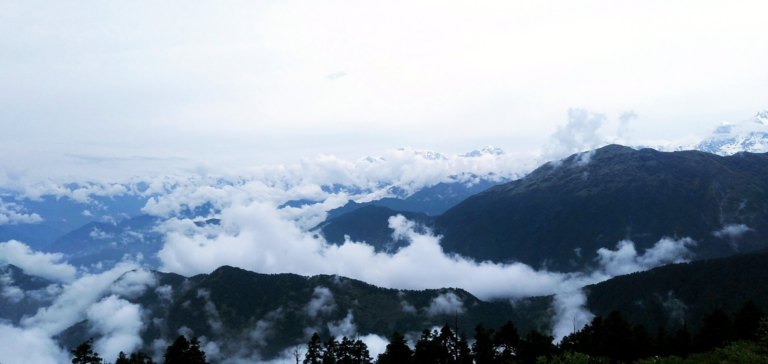 उत्तराखंड में 20 जून को दस्तक दे सकता है मानसून, शुरुआत में कुमाऊं फिर गढ़वाल में भारी बारिश के आसार,,,,,
