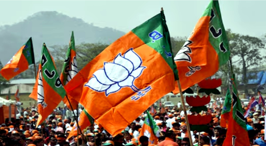 उत्तराखंड में भाजपा ने इन राज्यों के लिए नियुक्त किये चुनाव अधिकारी, जल्द होगी नए अध्यक्ष की घोषणा,,,,,