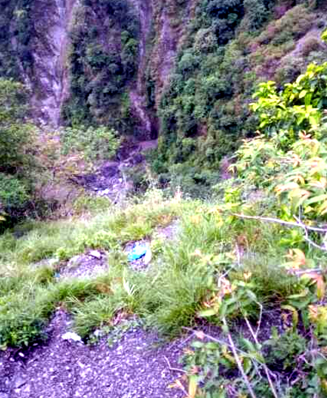 उत्तराखंड कालसी-चकराता मार्ग पर हुआ भीषण सड़क हादसा, तीन लोगों की दर्दनाक मौत, एक गंभीर रुप से घायल,,,,,,