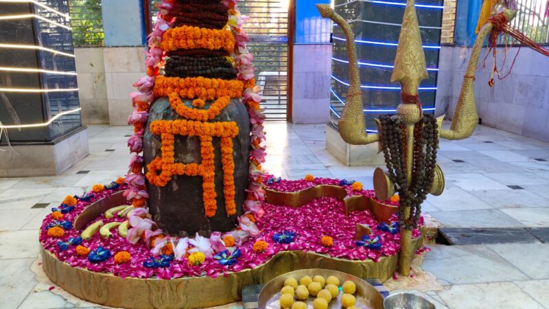 क्या कहते हैं आपकी किस्मत के सितारे दिन शुक्रवार दिनांक 04/07/2025