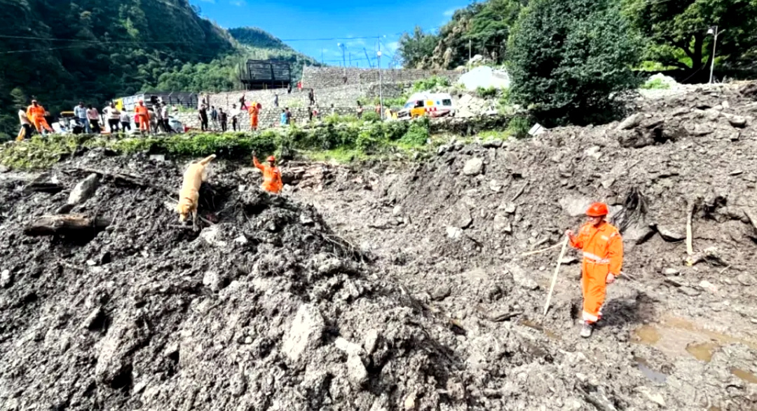 उत्तराखंड विभाग ने प्रदेश के चार जिलों में किया भारी बारिश का अलर्ट जारी, भूस्खलन की चेतावनी को देखते हुए की स्कूलों की छुट्टियां,,,,,