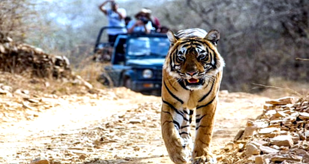 उत्तराखंड पाखरो रेंज घोटाले में किशन चंद की पत्नी और बेटों एवं अन्य के नाम पर खरीदी संपत्तियां हुई कुर्क,,,,