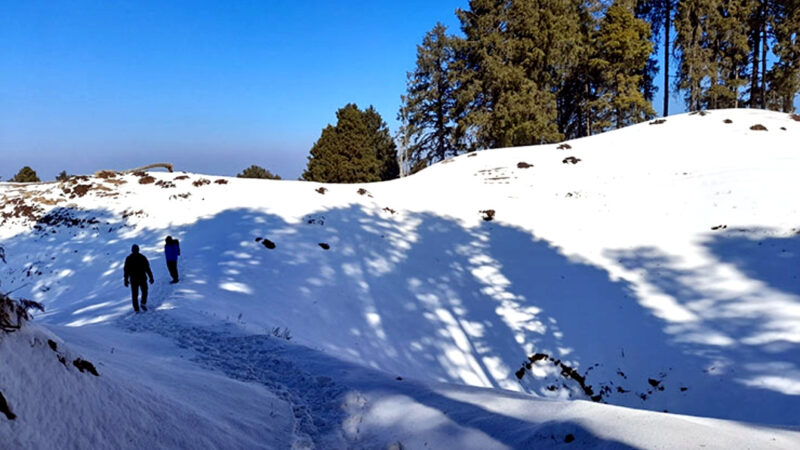 उत्तराखंड पहाडो पर हुई जबरदस्त बर्फबारी, मैदान में गिरा पारा, ठंड की हुई शुरुआत, विभाग ने किया येलो अलर्ट जारी,,,,