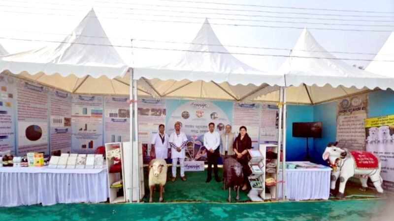 उत्तराखंड रजत जयंती उत्सव के तहत पशुपालकों के लिए भी है यह कुछ खास प्रेग्राम,,,,,