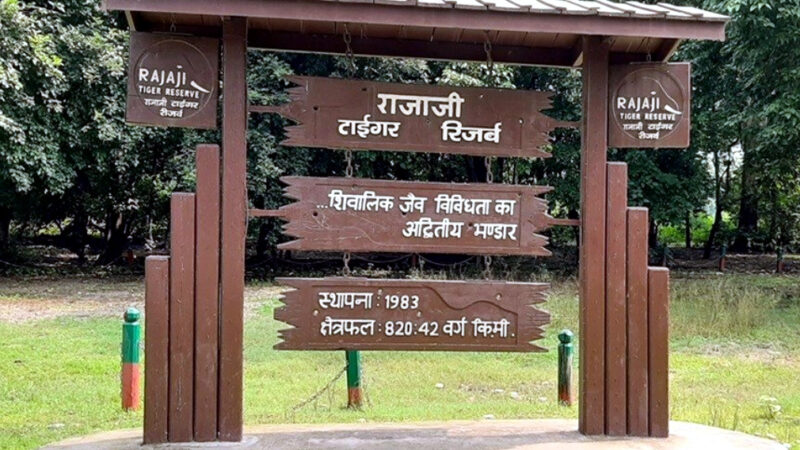 उत्तराखंड पुष्कर सिंह धामी ने राजाजी पार्क भर्ती घोटाला और मनी लॉन्ड्रिंग मामले में दोबारा जांच व अभियोजन की दी मंजूरी,,,