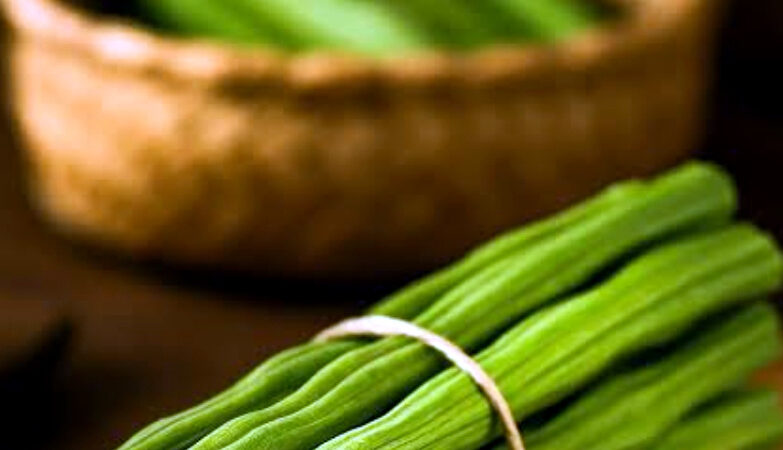 उत्तराखंड सहजन के पौधे की औषधीय उपयोगिता, स्वास्थ्य के लिए बना ‘चमत्कारी वृक्ष’ – ABPINDIANEWS SPACIAL