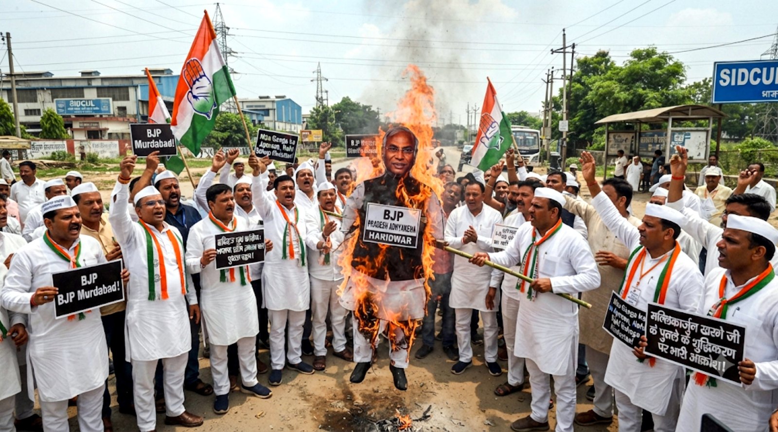 12345abडीडीa (30)
